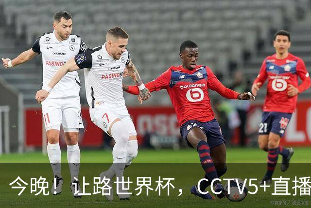 今晚！让路世界杯，CCTV5+直播中国男篮VS日本，赵继伟+杨瀚森领衔