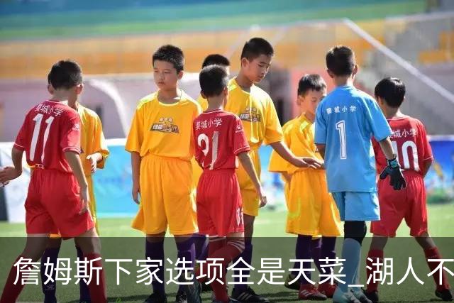 詹姆斯下家选项全是天菜 湖人不给的体面这些队能给